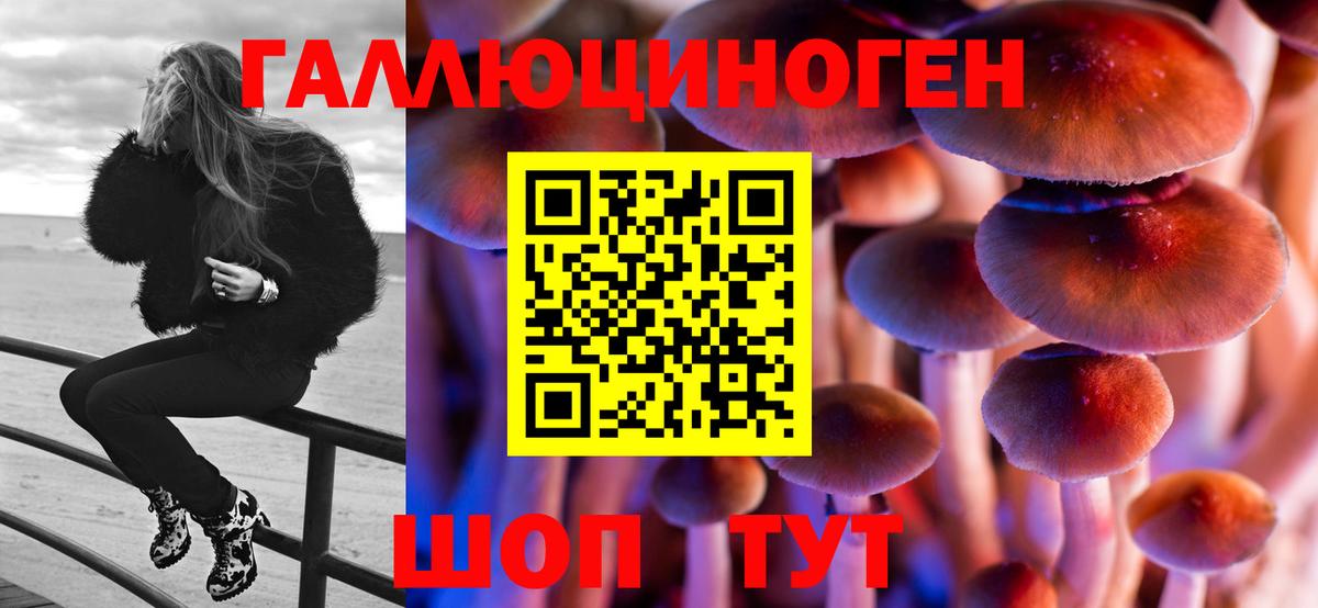 Псилоцибиновые грибы мухоморы  магазин продажи наркотиков  Томск  Вход с VPN 